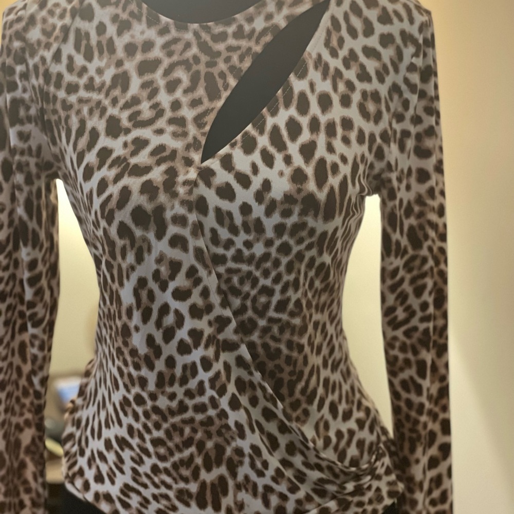 Women's Leopard Print Long-Sleeve Wrap Top - Brown/Tan
